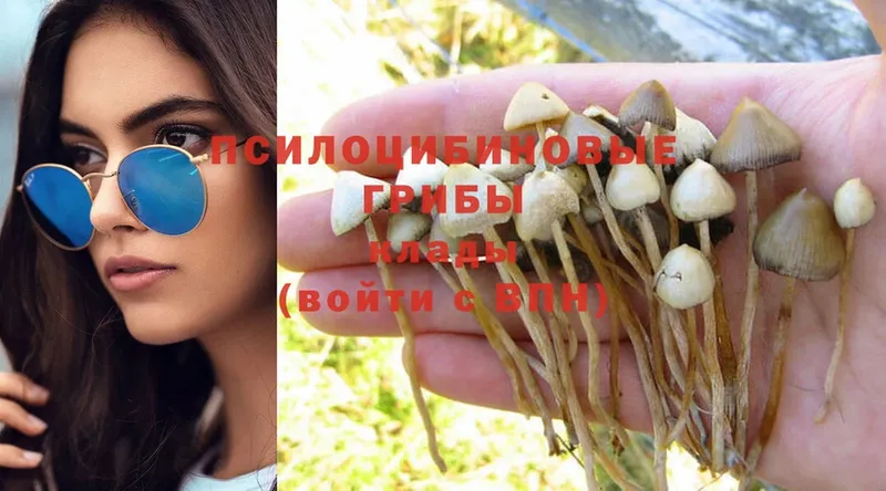 Галлюциногенные грибы Psilocybe Верхняя Салда